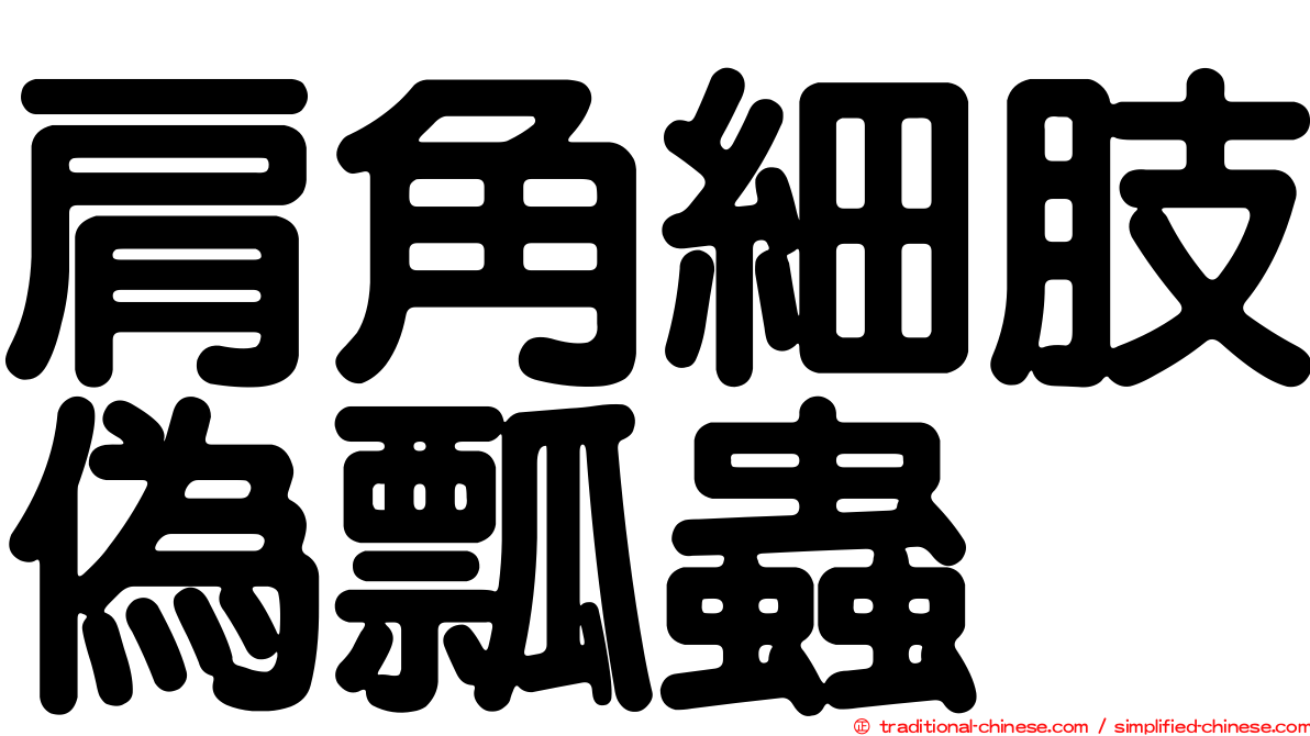 肩角細肢偽瓢蟲