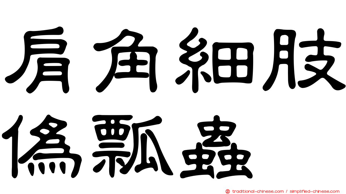 肩角細肢偽瓢蟲