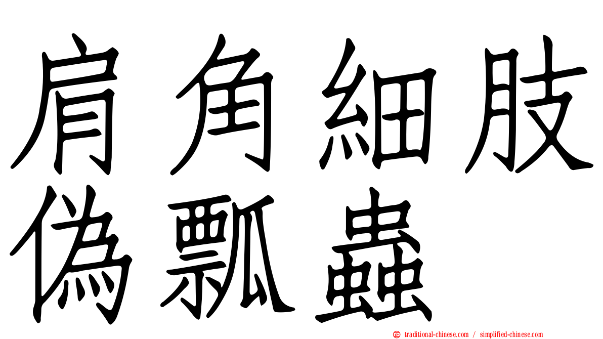 肩角細肢偽瓢蟲