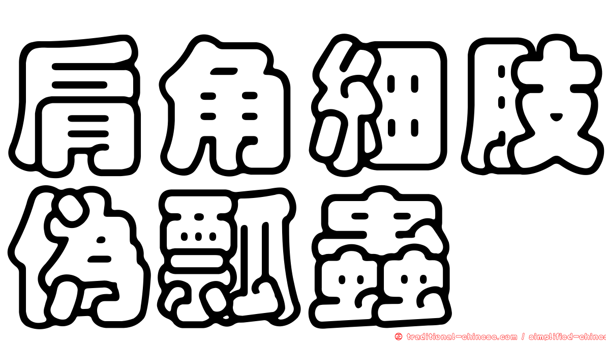 肩角細肢偽瓢蟲