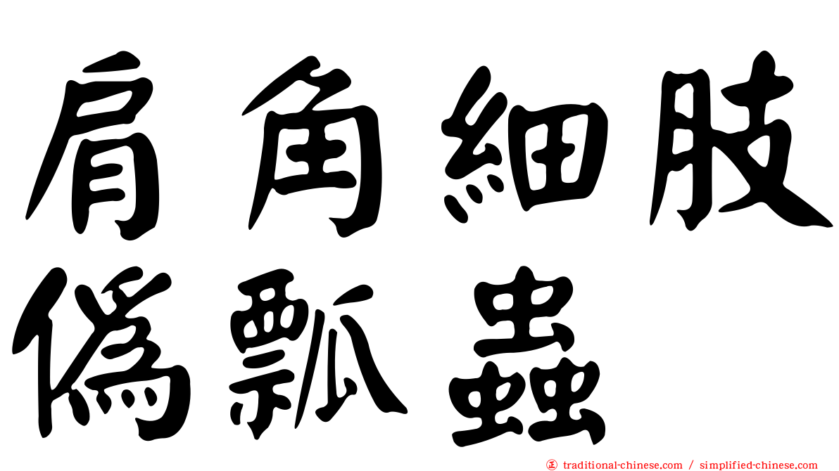 肩角細肢偽瓢蟲