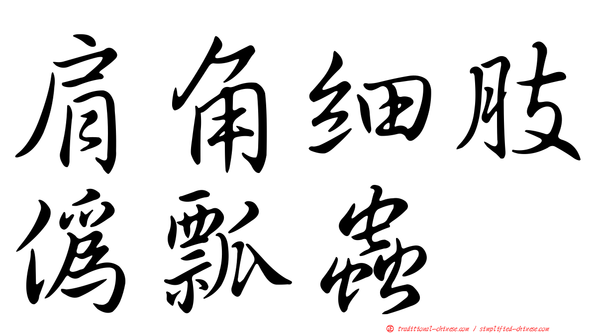 肩角細肢偽瓢蟲
