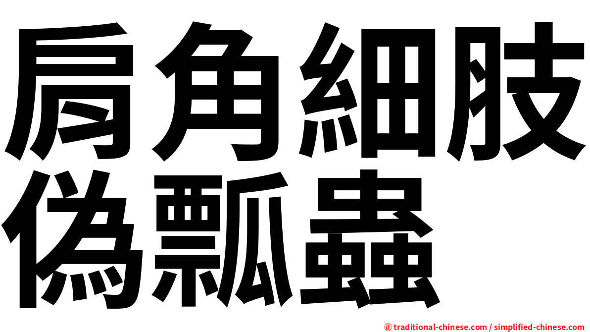 肩角細肢偽瓢蟲