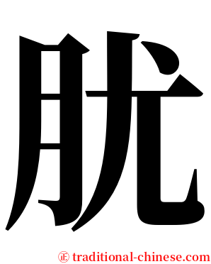 肬 serif font