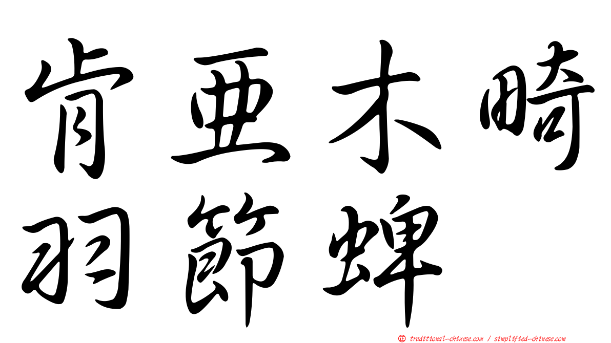 肯亞木畸羽節蜱