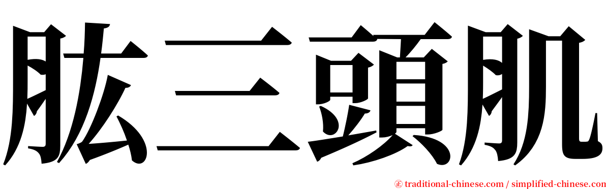 肱三頭肌 serif font