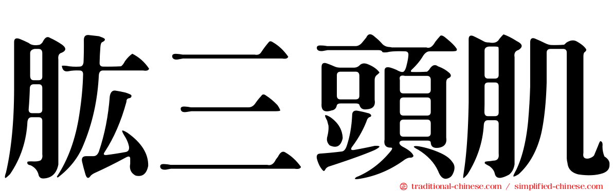 肱三頭肌
