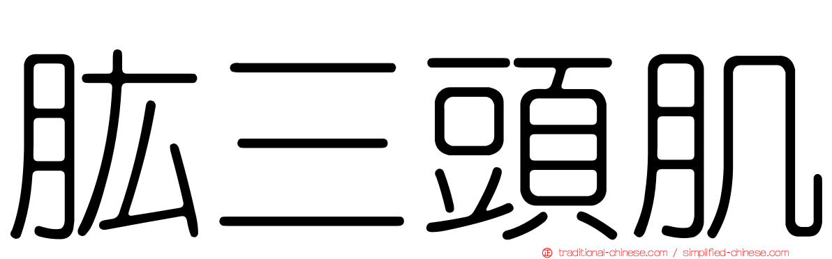 肱三頭肌