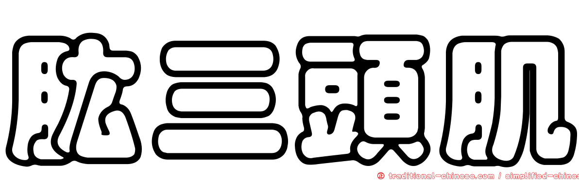 肱三頭肌