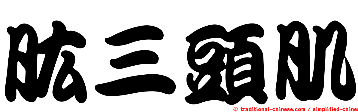肱三頭肌