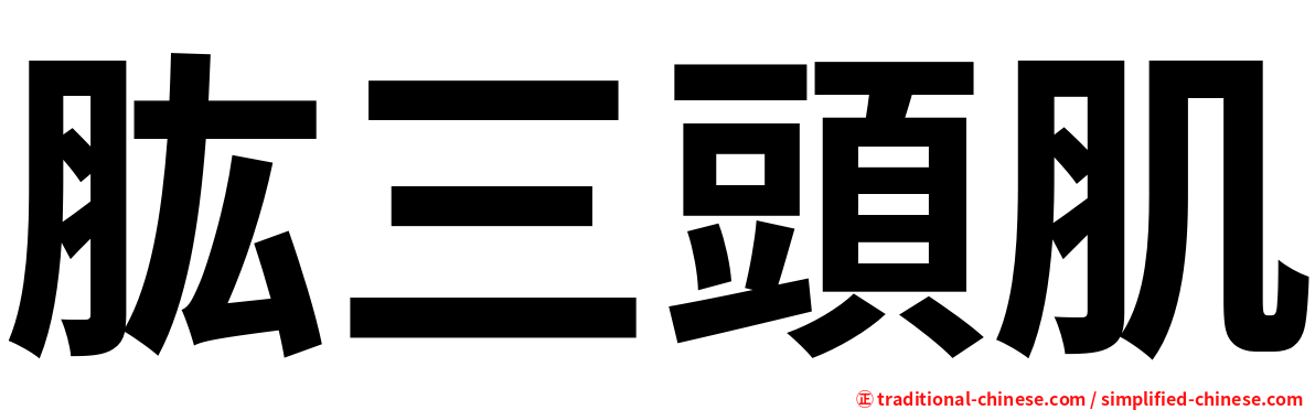 肱三頭肌