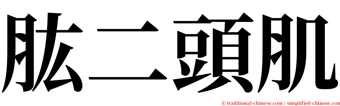 肱二頭肌 serif font