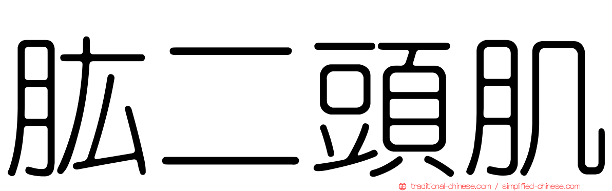 肱二頭肌
