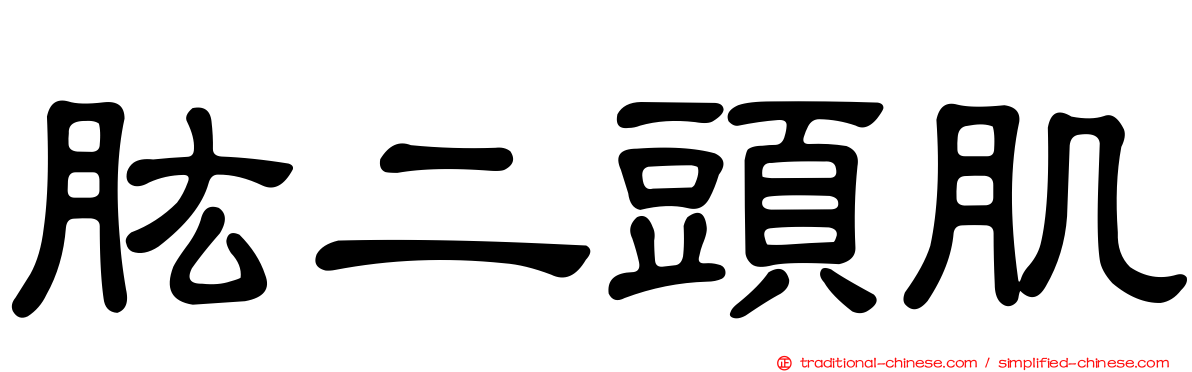 肱二頭肌