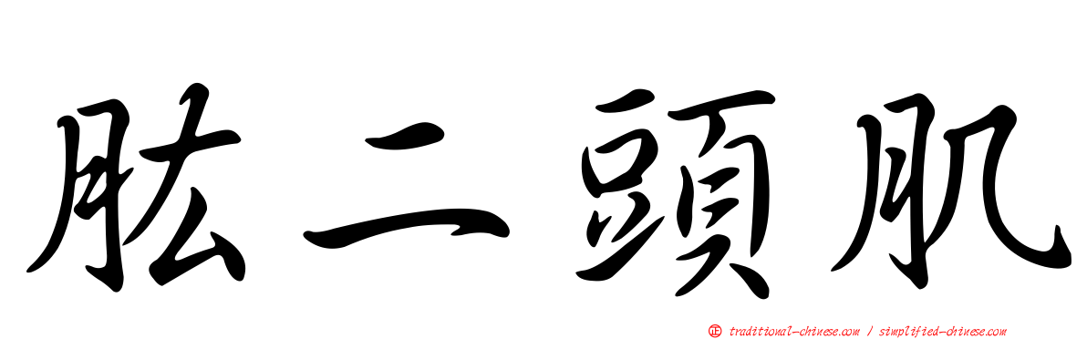 肱二頭肌