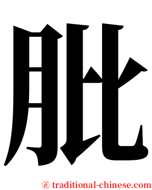 肶 serif font
