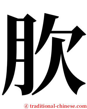 肷 serif font