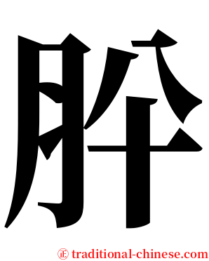 肸 serif font