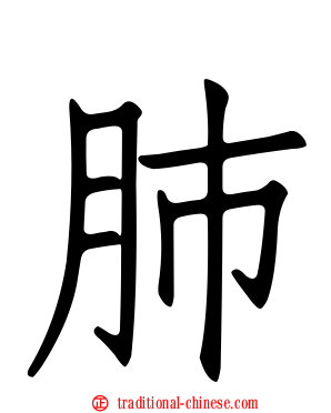 肺