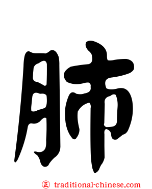 肺