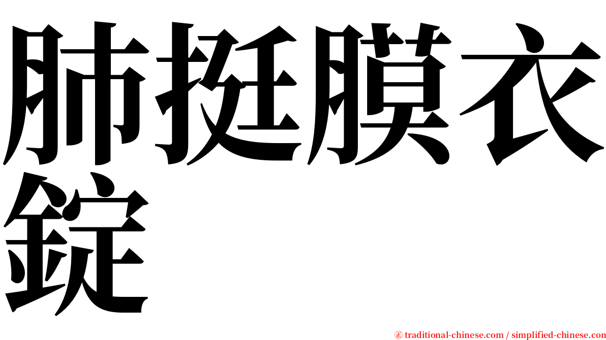 肺挺膜衣錠 serif font