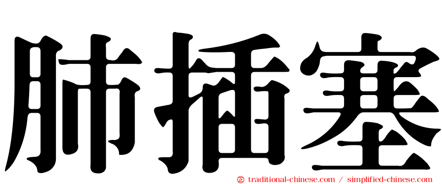肺插塞