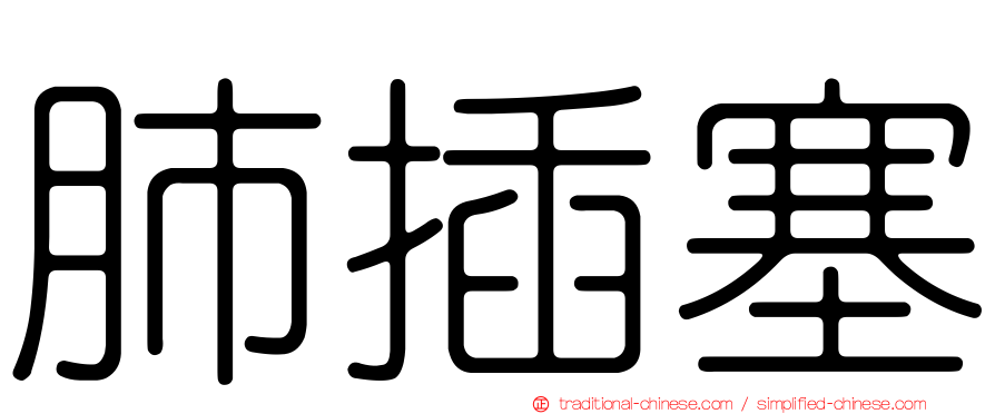 肺插塞