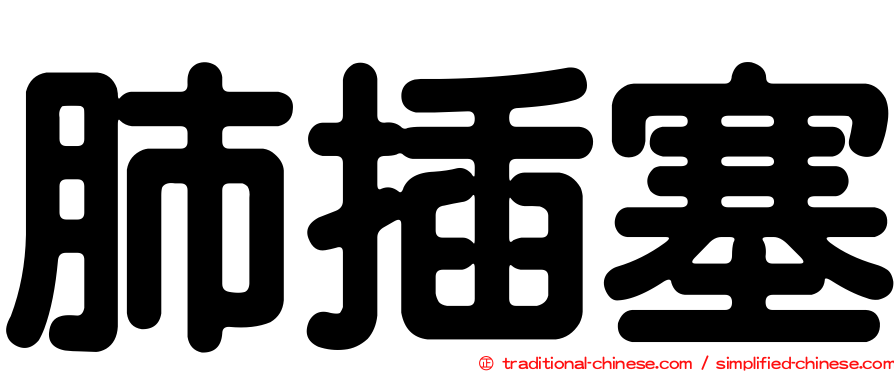 肺插塞