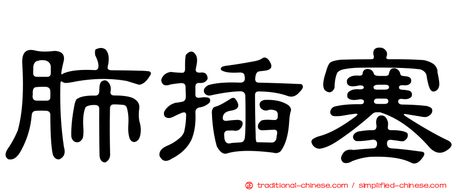 肺插塞