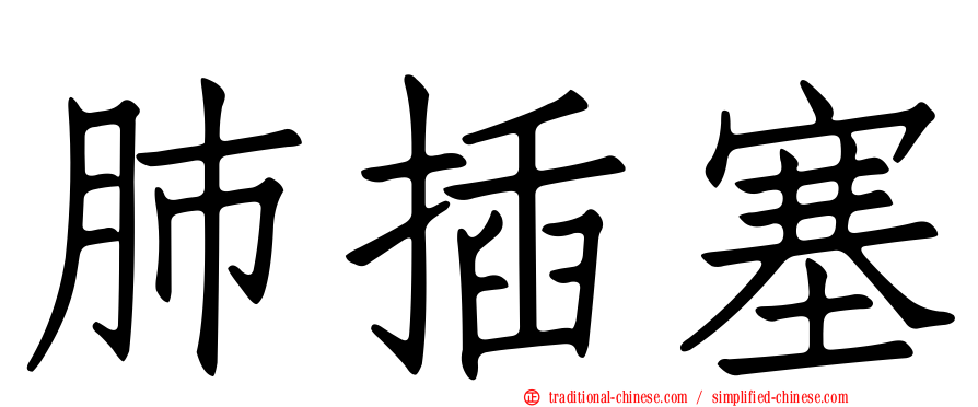 肺插塞