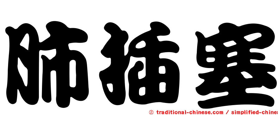 肺插塞
