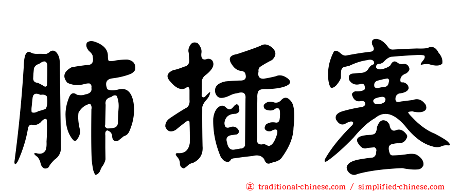 肺插塞