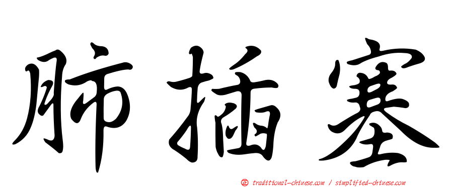 肺插塞