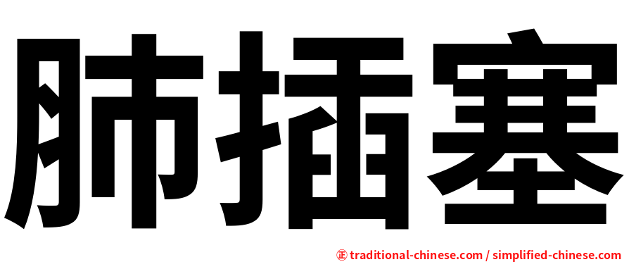 肺插塞