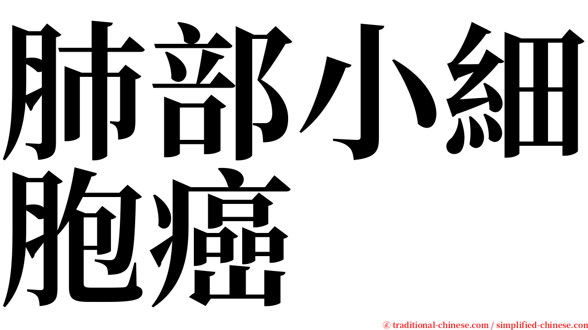 肺部小細胞癌 serif font