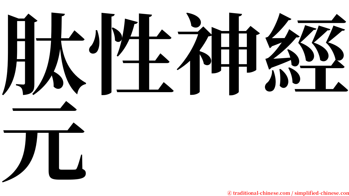 肽性神經元 serif font