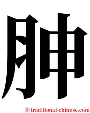胂 serif font