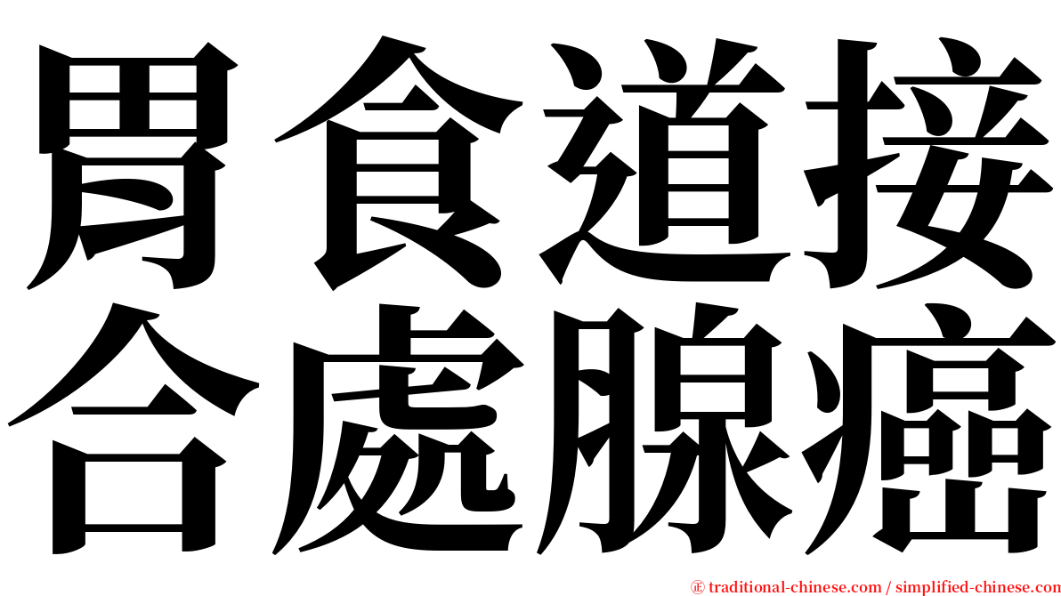 胃食道接合處腺癌 serif font