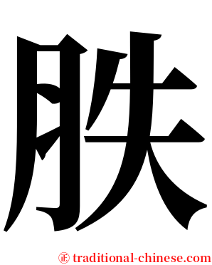 胅 serif font