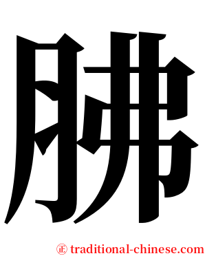 胇 serif font