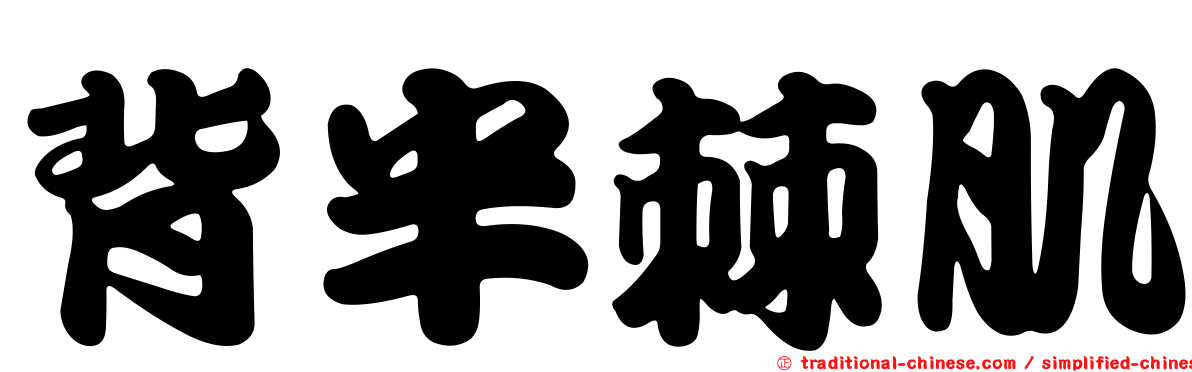 背半棘肌