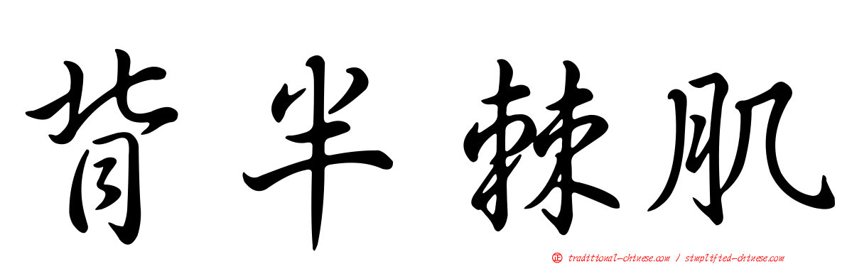 背半棘肌