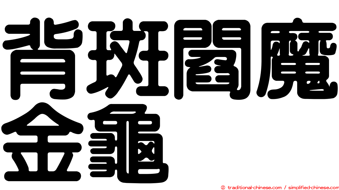 背斑閻魔金龜