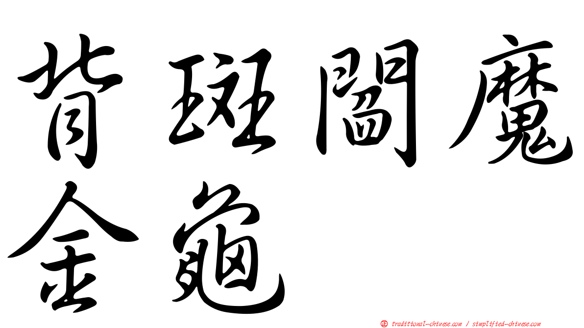 背斑閻魔金龜