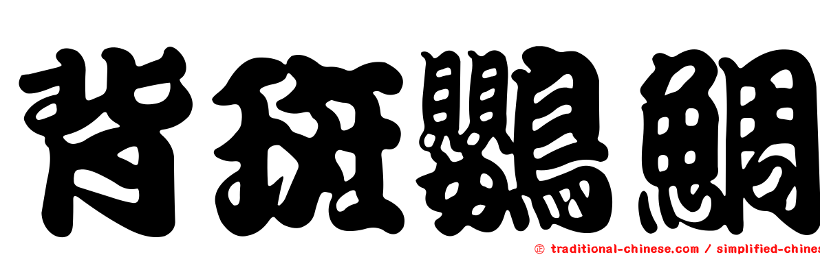 背斑鸚鯛
