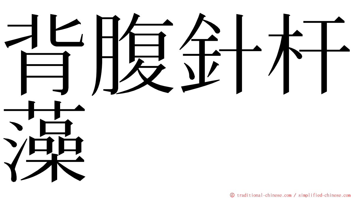 背腹針杆藻 ming font