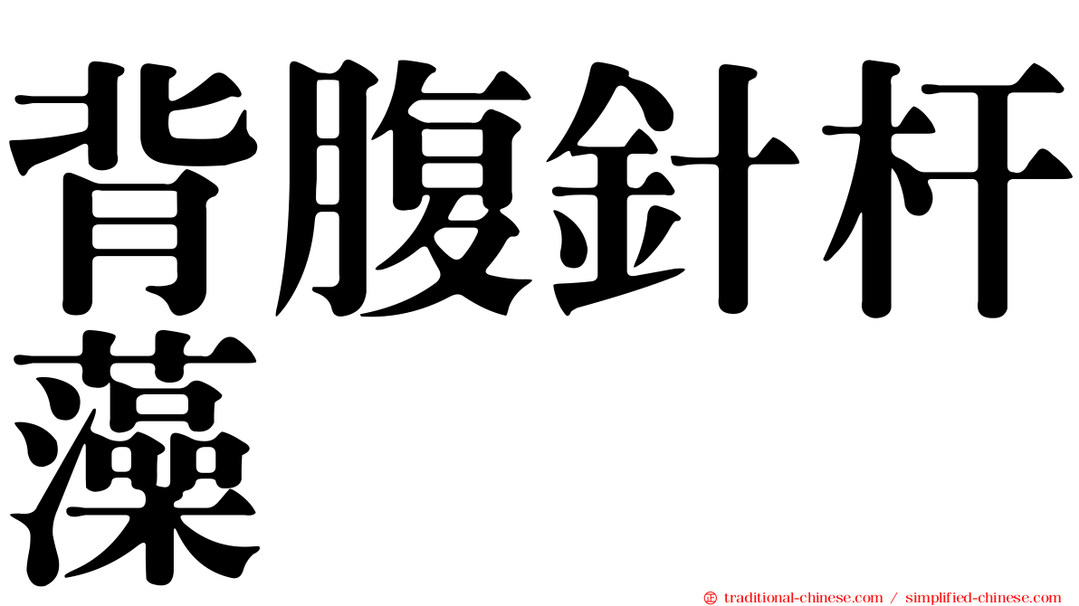 背腹針杆藻