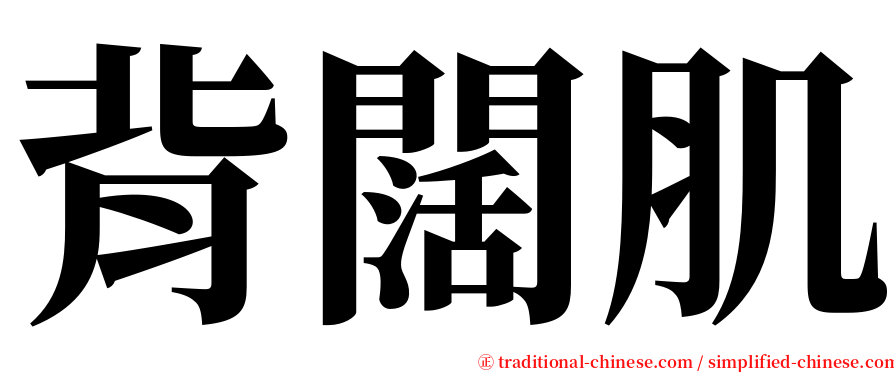 背闊肌 serif font