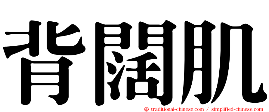 背闊肌