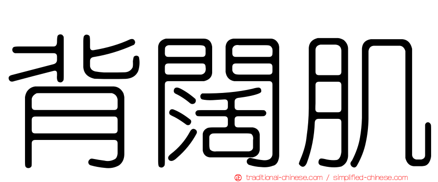 背闊肌